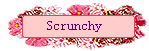 Scrunchy