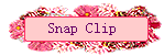 Snap Clip